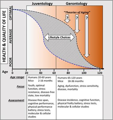 Exploring juventology: unlocking the secrets of youthspan and longevity programs